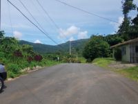 Sector El Verde - Camino al Yunque